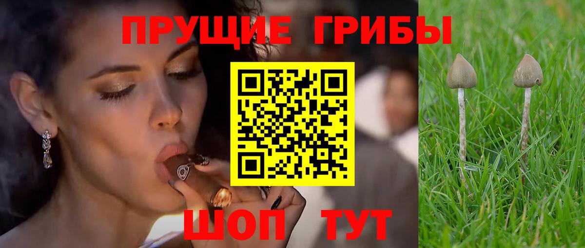 Псилоцибиновые грибы MAGIC MUSHROOMS Конаково